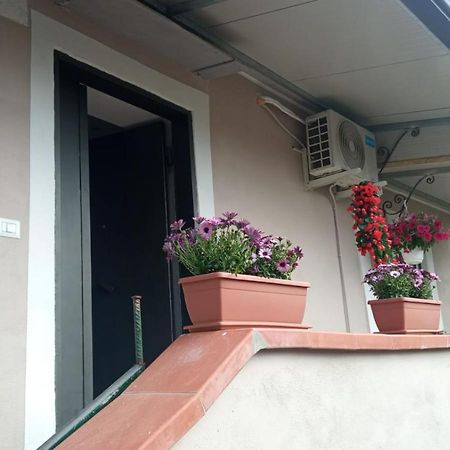 A Casa Di Nonna Anna Βίλα Ερκολάνο Εξωτερικό φωτογραφία